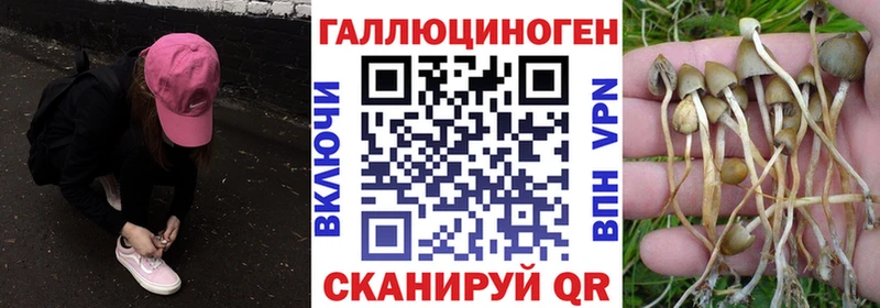 Галлюциногенные грибы MAGIC MUSHROOMS  наркотики  Завитинск 